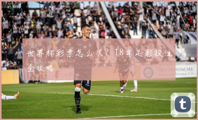 世界杯彩票怎么买？18年足彩投注全攻略