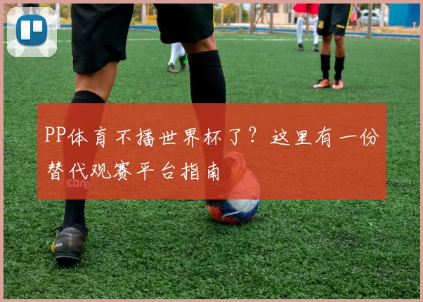 PP体育不播世界杯了?这里有一份替代观赛平台指南