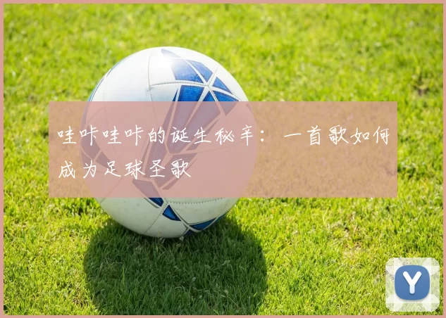 哇咔哇咔的诞生秘辛:一首歌如何成为足球圣歌