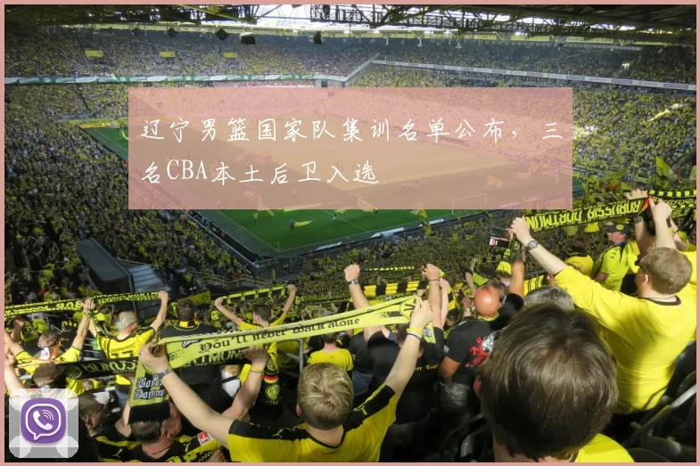 辽宁男篮国家队集训名单公布,三名CBA本土后卫入选