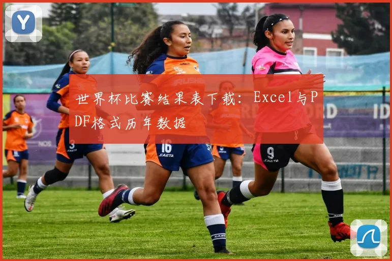 世界杯比赛结果表下载:Excel与PDF格式历年数据