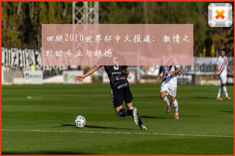 回顾2010世界杯中文报道：激情之外的专业与缺憾