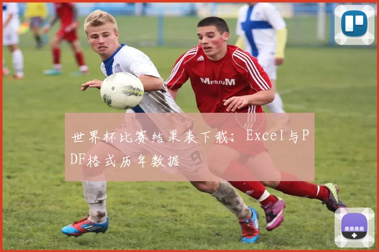 世界杯比赛结果表下载：Excel与PDF格式历年数据