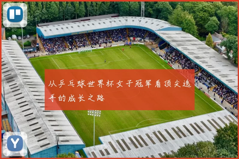 从乒乓球世界杯女子冠军看顶尖选手的成长之路