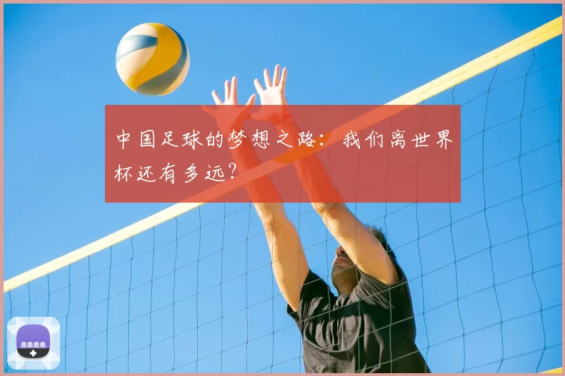 中国足球的梦想之路:我们离世界杯还有多远?