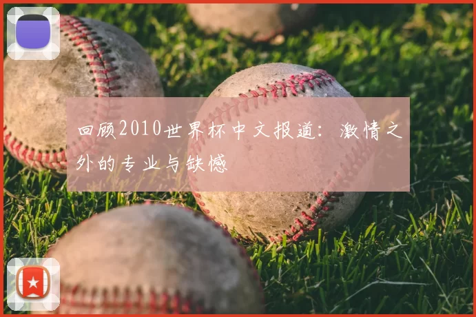 回顾2010世界杯中文报道：激情之外的专业与缺憾