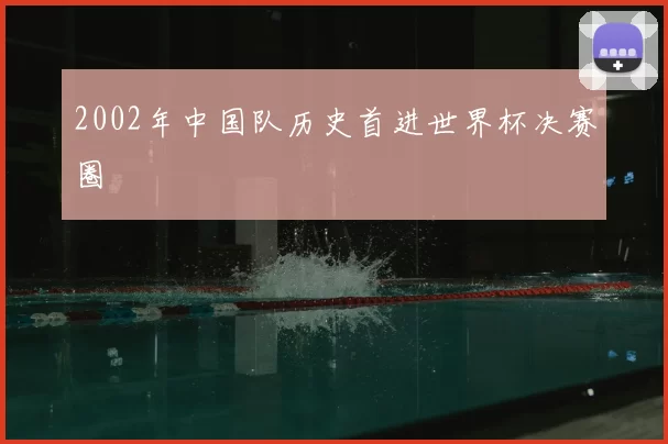 2002年中国队历史首进世界杯决赛圈