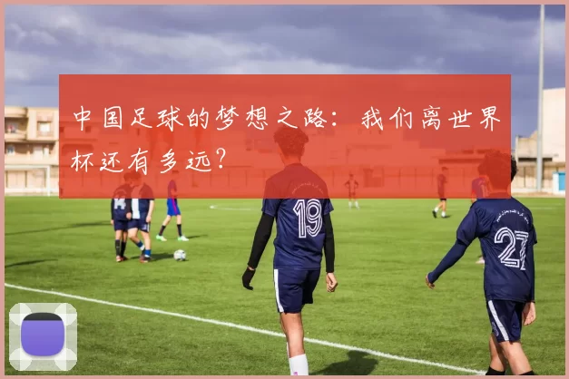 中国足球的梦想之路：我们离世界杯还有多远？